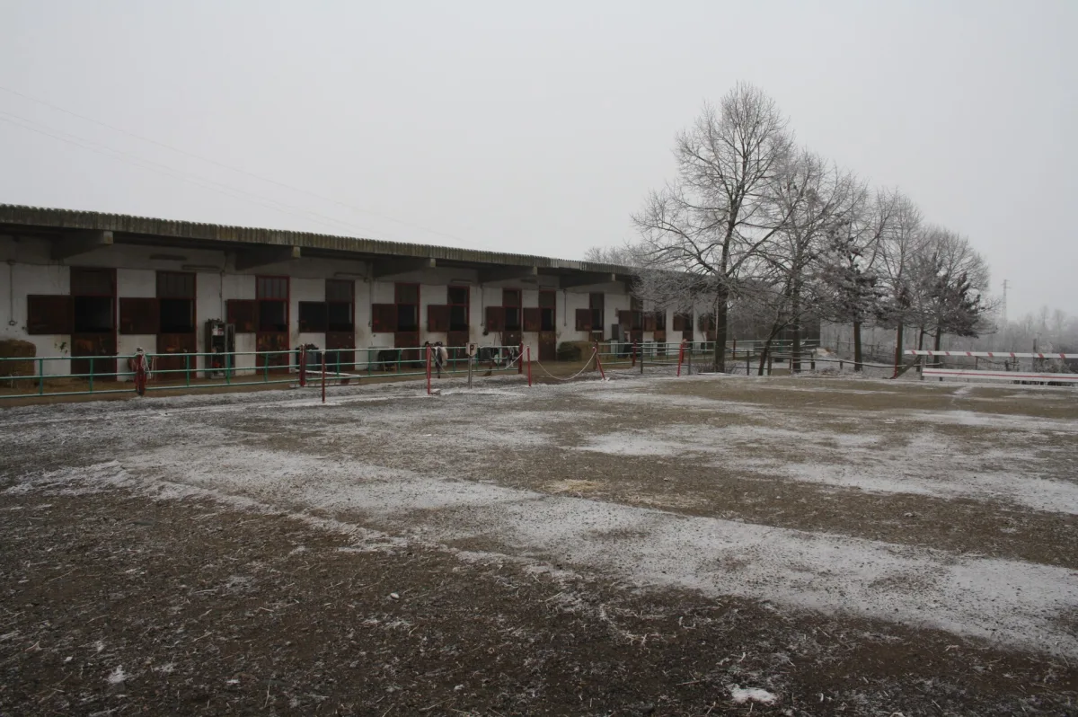 Giardini d'Autore - Edizione Autunno 2026 Bellaria Igea Marina 2026: date e programma