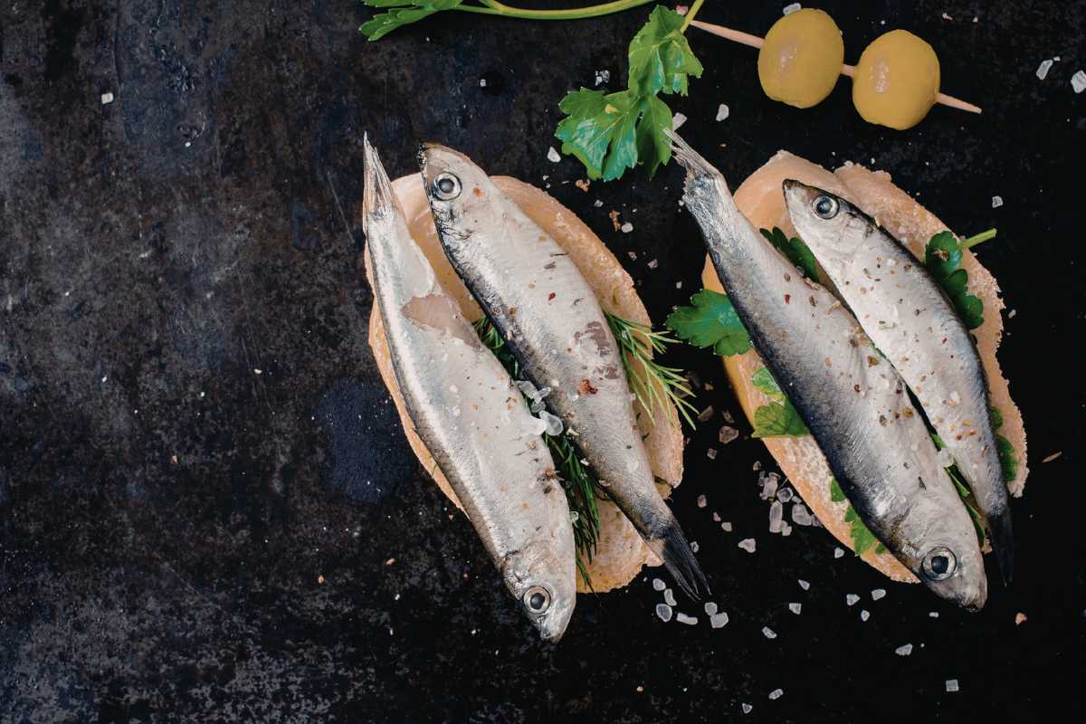 Scatto di un vivace mercato del pesce al porto canale di Bellaria, con pescatori locali e cassette di pesce fresco, atmosfera mattutina autentica