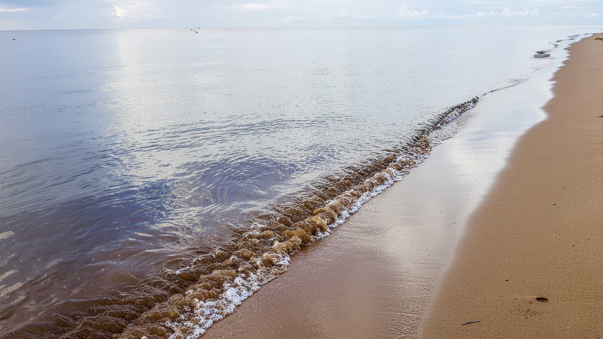 Cosa fare a Bellaria Igea Marina: guida aggiornata 2026